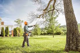 Best Emergency Tree Removal  in St James City, FL